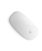 IT Consulting